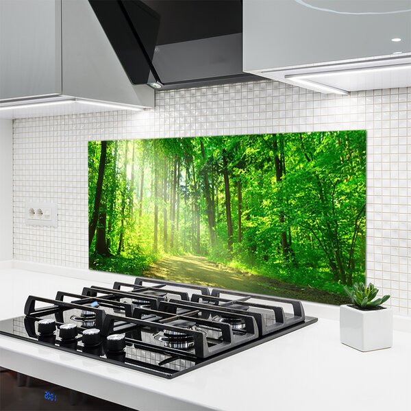 Sklenený obklad Do kuchyne Les cestička stromy príroda 120x60 cm