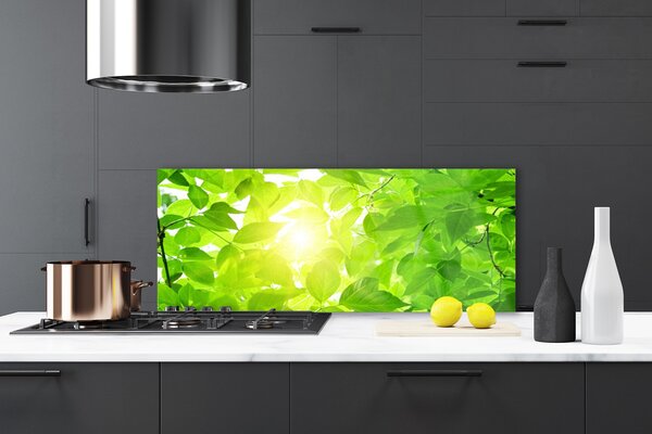 Sklenený obklad Do kuchyne Listy príroda slnko rastlina 125x50 cm