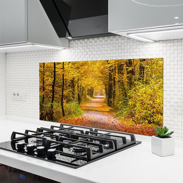 Sklenený obklad Do kuchyne Les rastlina cestička príroda 120x60 cm