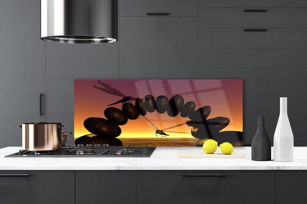 Sklenený obklad Do kuchyne Vážky kamene umenie 125x50 cm