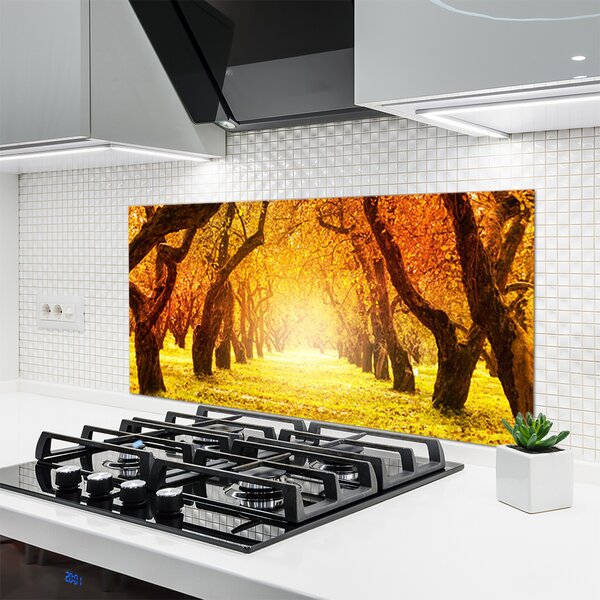 Sklenený obklad Do kuchyne Les chodník stromy príroda 120x60 cm