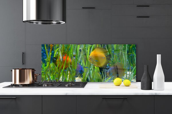 Sklenený obklad Do kuchyne Ryba riasy príroda 125x50 cm