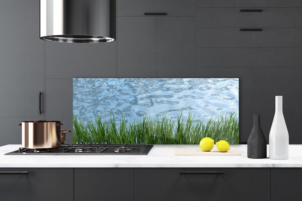 Sklenený obklad Do kuchyne Tráva voda príroda 125x50 cm