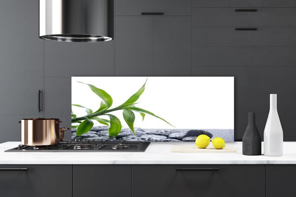 Sklenený obklad Do kuchyne List príroda kamene rastlina 125x50 cm