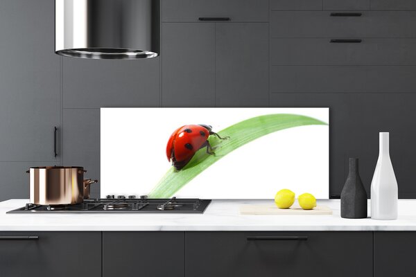 Sklenený obklad Do kuchyne Lienka list príroda 125x50 cm