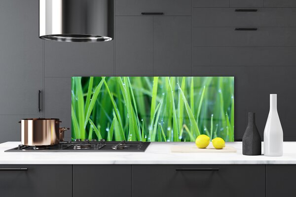 Sklenený obklad Do kuchyne Tráva kvapky rastlina príroda 125x50 cm