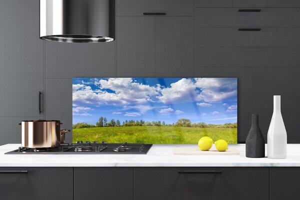 Sklenený obklad Do kuchyne Lúka tráva nebo krajina 125x50 cm