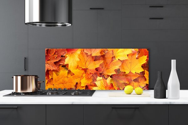 Sklenený obklad Do kuchyne Listy príroda rastlina 125x50 cm