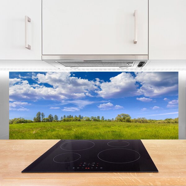 Sklenený obklad Do kuchyne Lúka tráva nebo krajina 125x50 cm