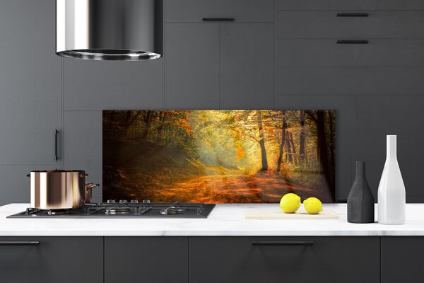 Sklenený obklad Do kuchyne Les cestička stromy príroda 125x50 cm