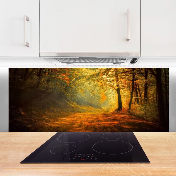 Sklenený obklad Do kuchyne Les cestička stromy príroda 125x50 cm
