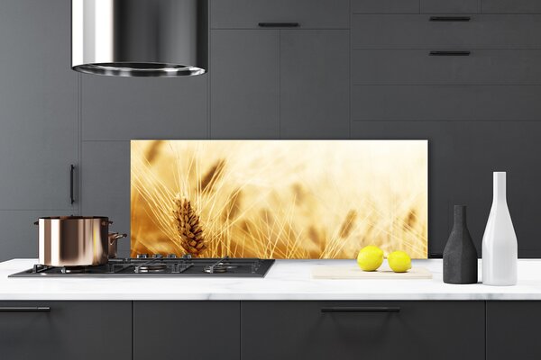 Sklenený obklad Do kuchyne Pšenica rastlina príroda 125x50 cm