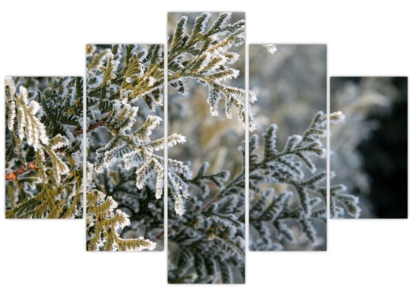 Obraz - Detail vetvy (150x105 cm)