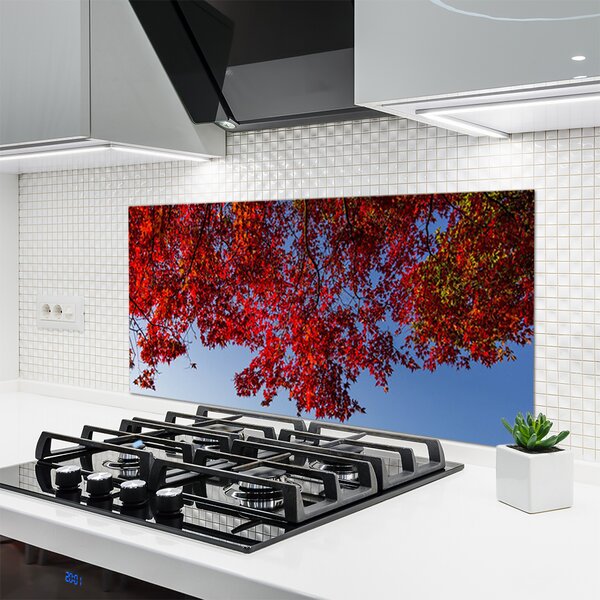 Sklenený obklad Do kuchyne Strom listy vetvy príroda 120x60 cm