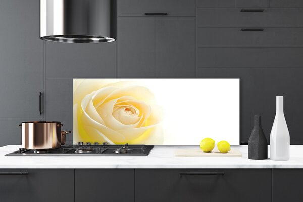 Sklenený obklad Do kuchyne Ruže kvet rastlina 125x50 cm