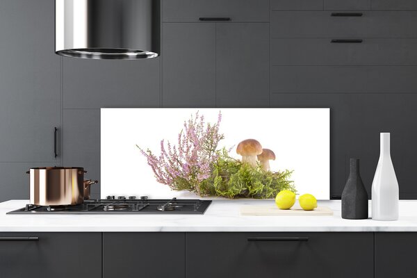 Sklenený obklad Do kuchyne Huby rastlina príroda 125x50 cm