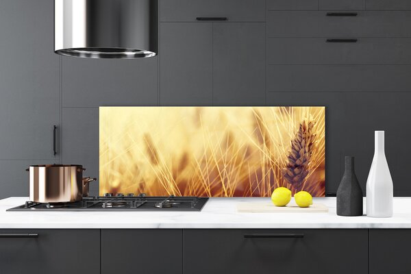 Sklenený obklad Do kuchyne Pšenica rastlina príroda 125x50 cm