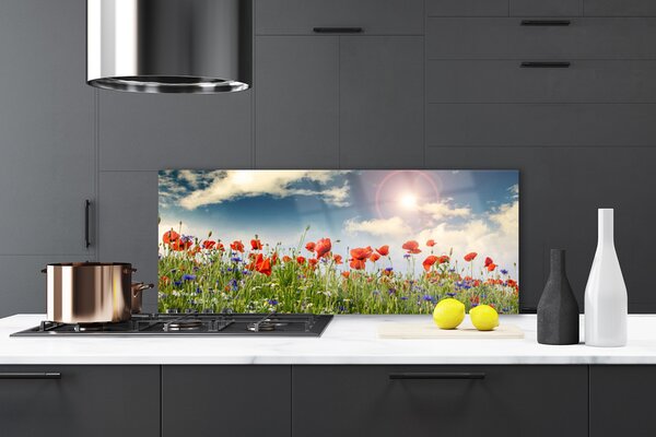 Sklenený obklad Do kuchyne Lúka kvety slnko príroda 125x50 cm