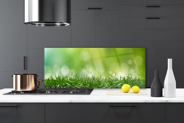 Sklenený obklad Do kuchyne Tráva rastlina príroda 125x50 cm