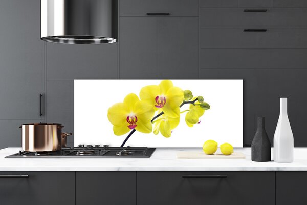 Sklenený obklad Do kuchyne Kvety rastlina príroda 125x50 cm