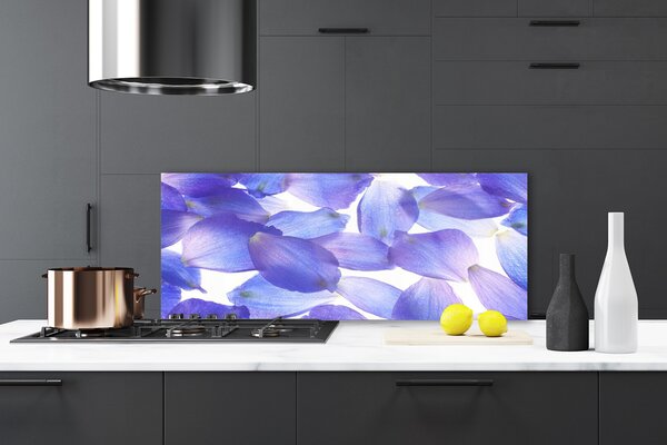 Sklenený obklad Do kuchyne Plátky rastlina príroda 125x50 cm