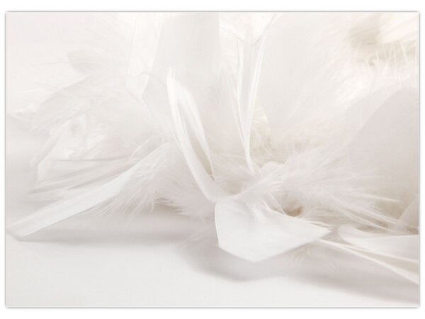 Obraz - Perie (70x50 cm)