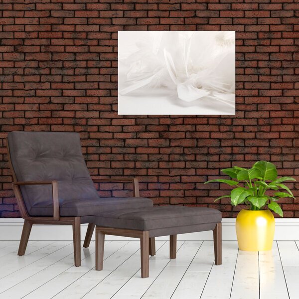 Obraz - Perie (70x50 cm)