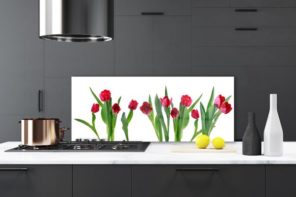 Sklenený obklad Do kuchyne Tulipány kvety rastlina 125x50 cm