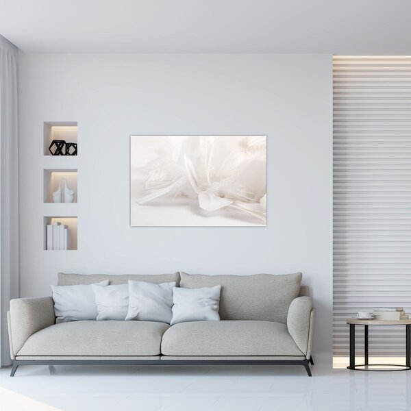 Obraz - Perie (90x60 cm)