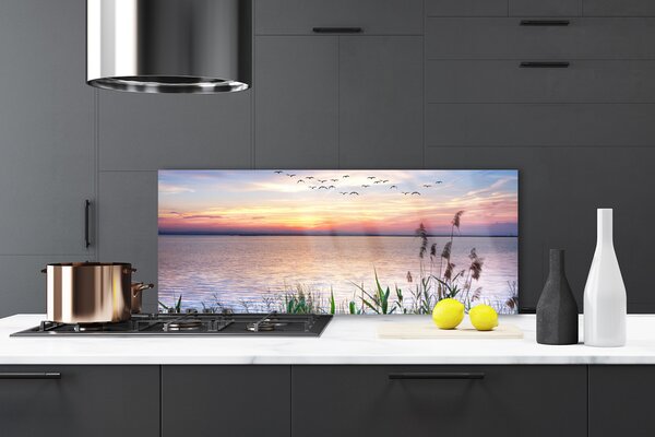 Sklenený obklad Do kuchyne More vtáky nebo krajina 125x50 cm
