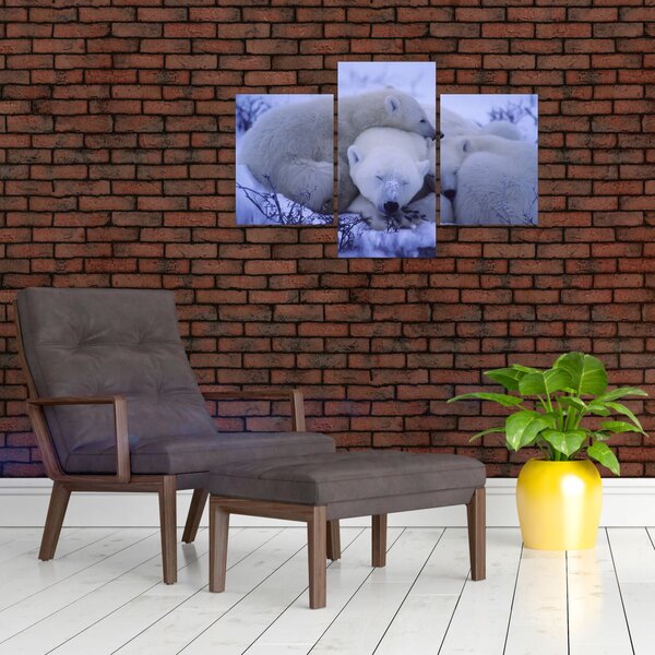 Obraz - Ľadové medvedíky (90x60 cm)