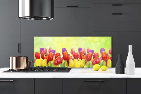 Sklenený obklad Do kuchyne Tulipány kvety rastlina 125x50 cm