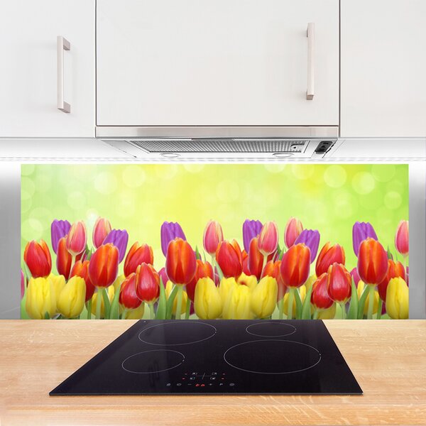 Sklenený obklad Do kuchyne Tulipány kvety rastlina 125x50 cm