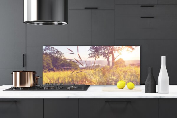 Sklenený obklad Do kuchyne Lúka tráva strom príroda 125x50 cm