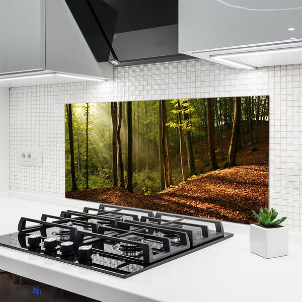 Sklenený obklad Do kuchyne Les stromy príroda 120x60 cm
