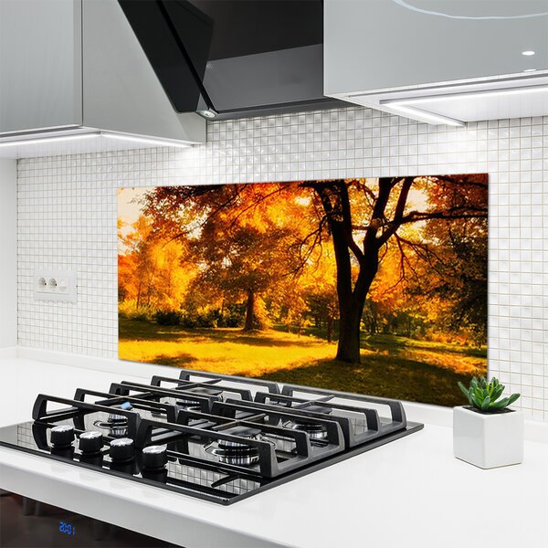 Sklenený obklad Do kuchyne Stromy jeseň príroda 120x60 cm