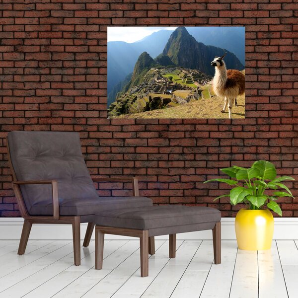 Obrázok - Lama a Machu Picchu (90x60 cm)