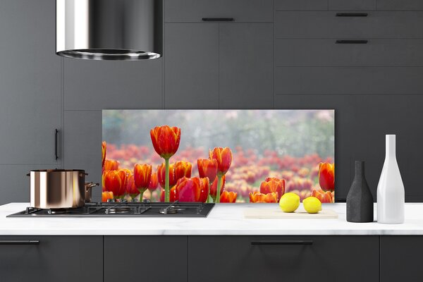 Sklenený obklad Do kuchyne Tulipány kvety rastlina 125x50 cm