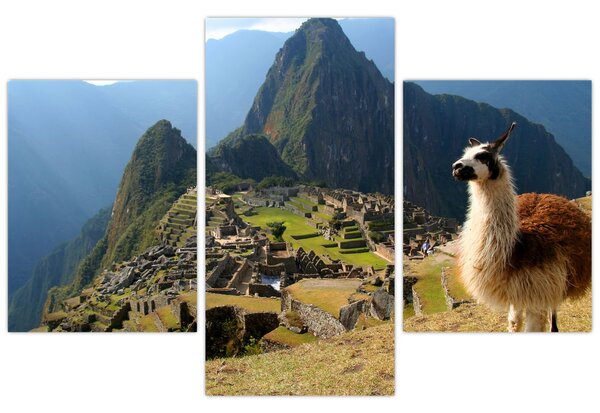 Obrázok - Lama a Machu Picchu (90x60 cm)