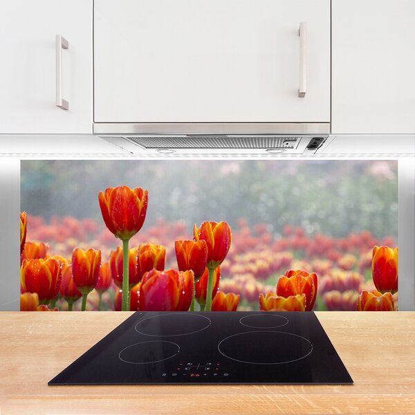 Sklenený obklad Do kuchyne Tulipány kvety rastlina 125x50 cm