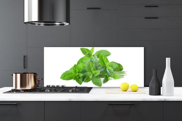 Sklenený obklad Do kuchyne Mäta rastlina príroda 125x50 cm