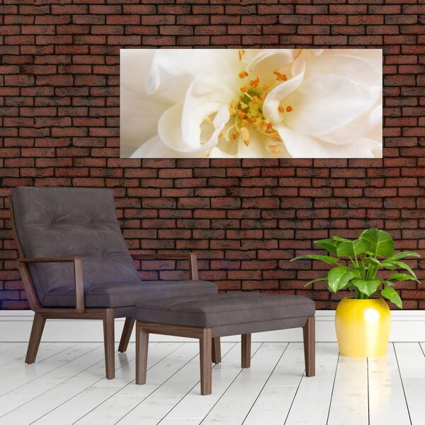 Obraz - Kvet (120x50 cm)