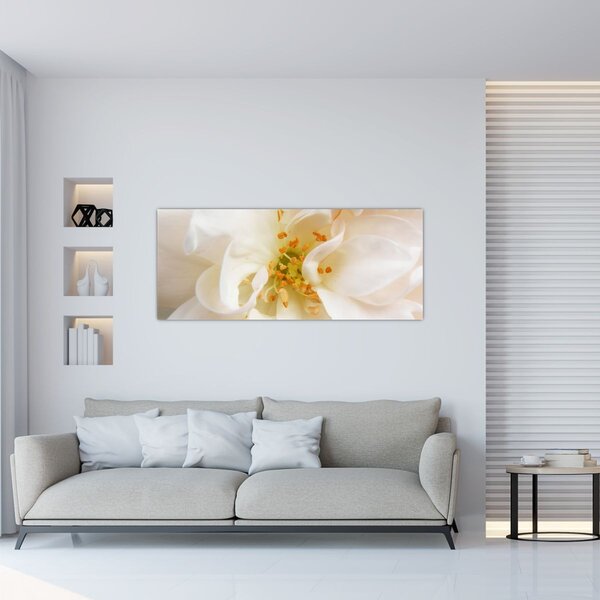 Obraz - Kvet (120x50 cm)