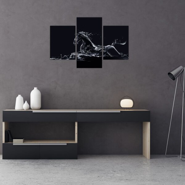 Obraz - Kôň a voda (90x60 cm)