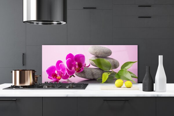 Sklenený obklad Do kuchyne Kvet kamene zen rastlina 125x50 cm