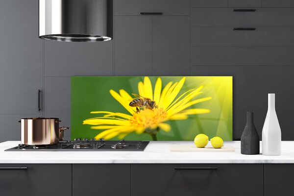 Sklenený obklad Do kuchyne Osa kvet rastlina príroda 125x50 cm