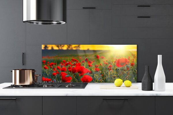 Sklenený obklad Do kuchyne Lúka maky rastlina príroda 125x50 cm
