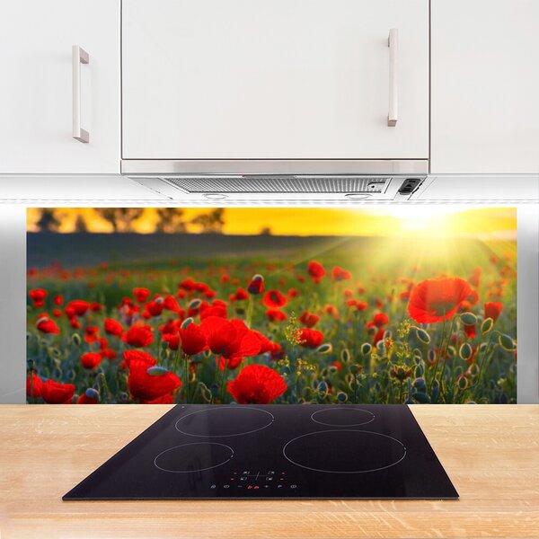 Sklenený obklad Do kuchyne Lúka maky rastlina príroda 125x50 cm