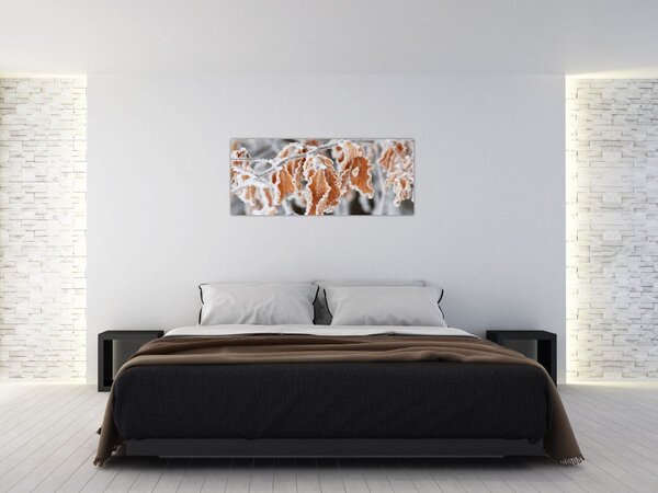 Obraz - Zamrznuté listy (120x50 cm)