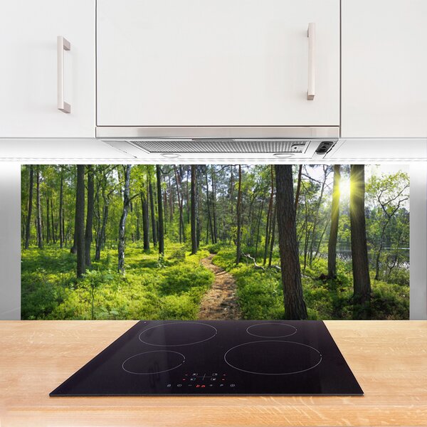 Sklenený obklad Do kuchyne Les chodník cestička príroda 125x50 cm